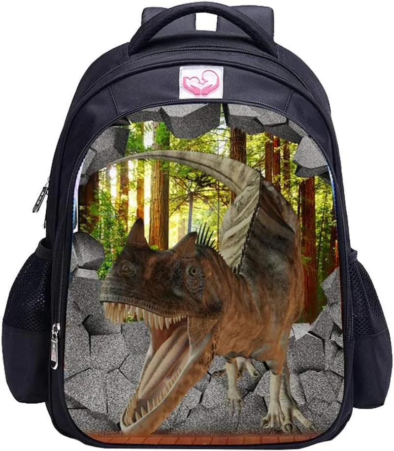 Dinosaur Backpack Dinosaur Backpacks for Boys School Backpack Kids Bookbag (Dinosaur Backpack 30)