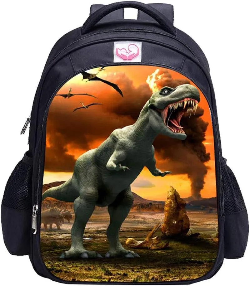 Dinosaur Backpack Dinosaur Backpacks for Boys School Backpack Kids Bookbag (Dinosaur Backpack 30)